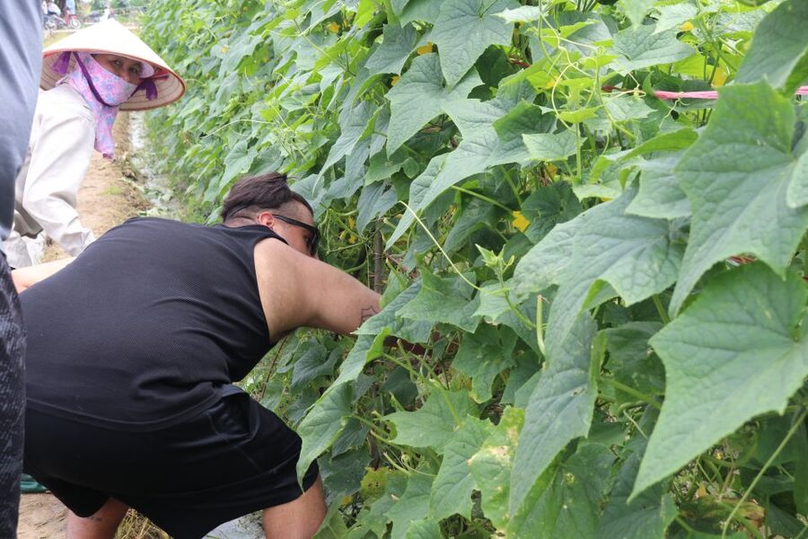 Hanoi: Village Farm Tour and Cooking Class with Lunch - What the $75 price includes