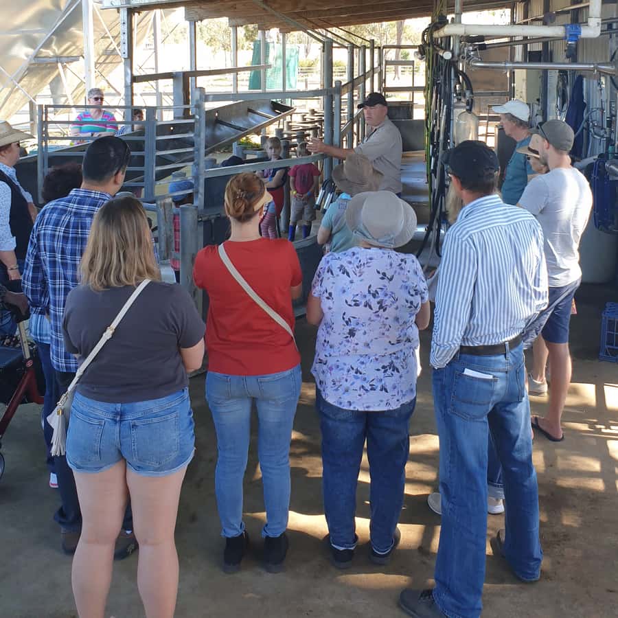 Harrisville: Summer Land Camel Farm Tour with Tasting - The souvenir shop and skincare range