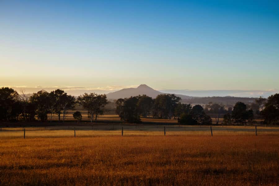 Harrisville: Summer Land Camel Farm Tour with Tasting - Timing, access, and what to plan