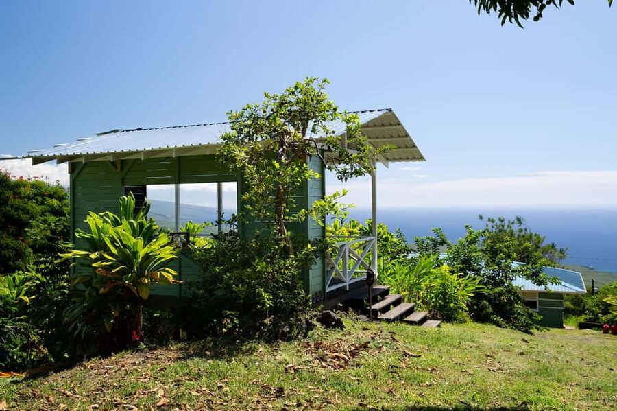 Hawaii: Hala Tree Coffee Farm Tour and Tasting - Tasting Kona Coffee with an ocean view