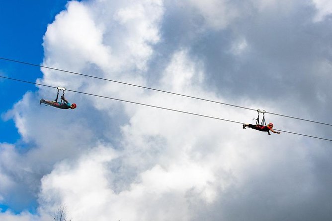 Hawaii Kipu Ranch PowerLine Zipline with Guide - Is $182.76 a fair price?