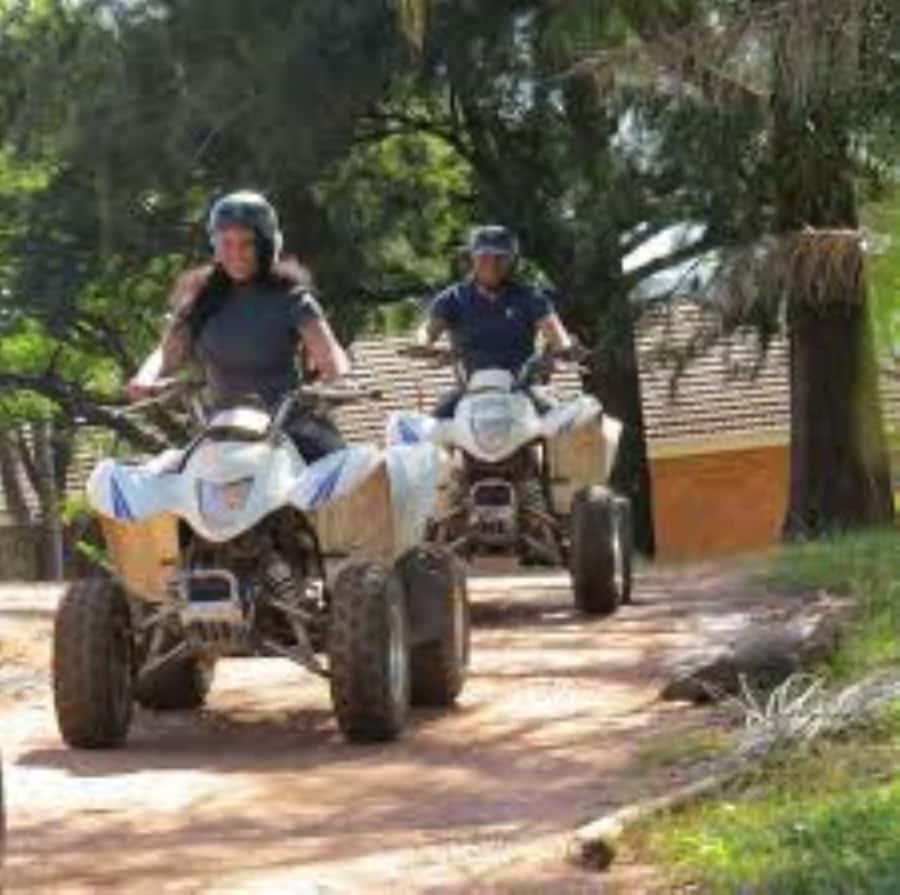 Hazyview: Guided Macadamia Plantation and Forest Quad Safari - Key points at a glance