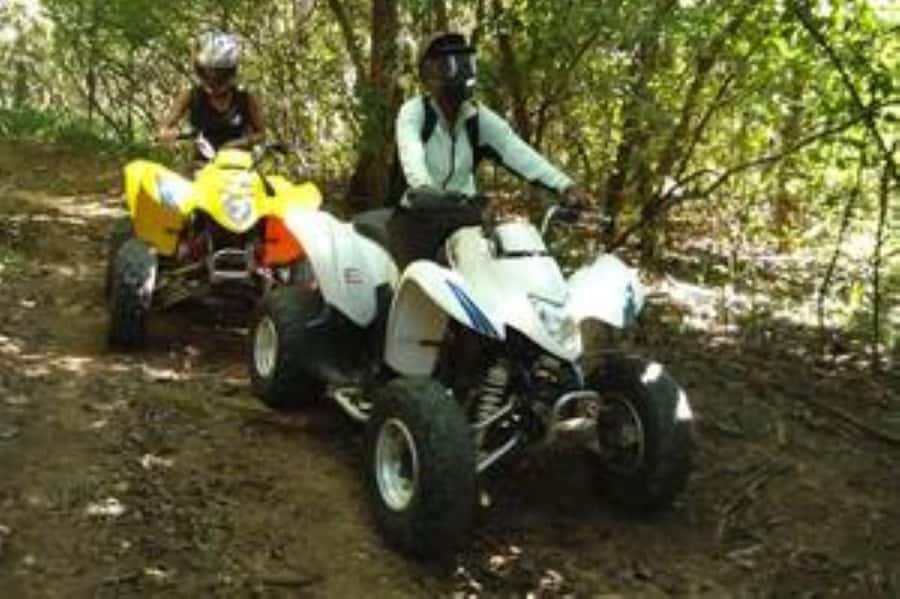 Hazyview: Guided Macadamia Plantation and Forest Quad Safari - Starting at Extreme Adventure Camp in Hazyview