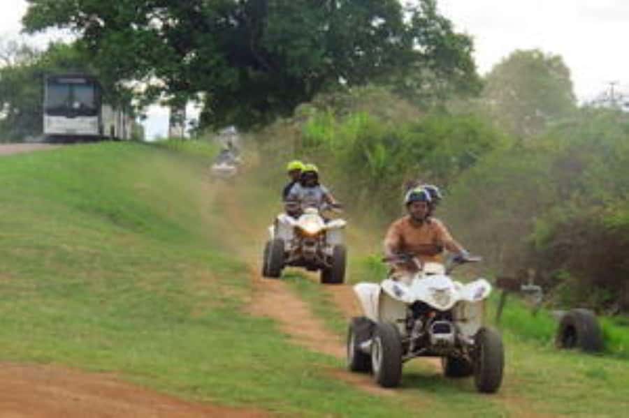 Hazyview: Guided Macadamia Plantation and Forest Quad Safari - Macadamia plantation tracks and a change of pace