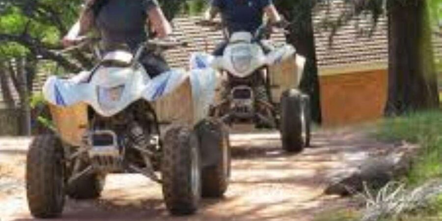 Hazyview: Guided Macadamia Plantation and Forest Quad Safari - Forest trails near the Sabie River