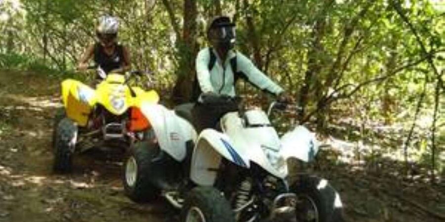 Hazyview: Guided Macadamia Plantation and Forest Quad Safari - Who should book this Hazyview quad safari?