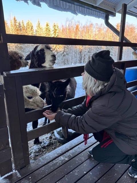 Helsinki: Alpaca Farm Tour with Guided Walk (private) - Guides, Language, and the Human Side