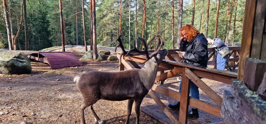 Helsinki Highlights+Nuuksio Buggy Ride+Reindeer farm visit - The Sibelius Monument finishes the city portion