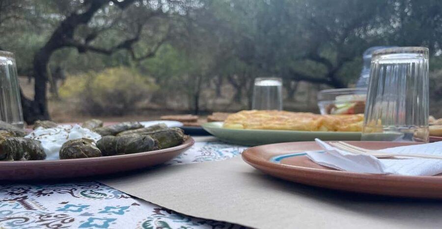 Heraklion: Cretan Farmers Brunch and Olive Grove Tour - A farm meal with a very Cretan purpose