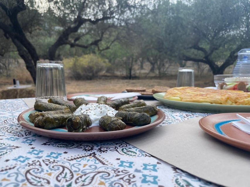Heraklion: Cretan Farmers Brunch and Olive Grove Tour - Is $35 a fair price?