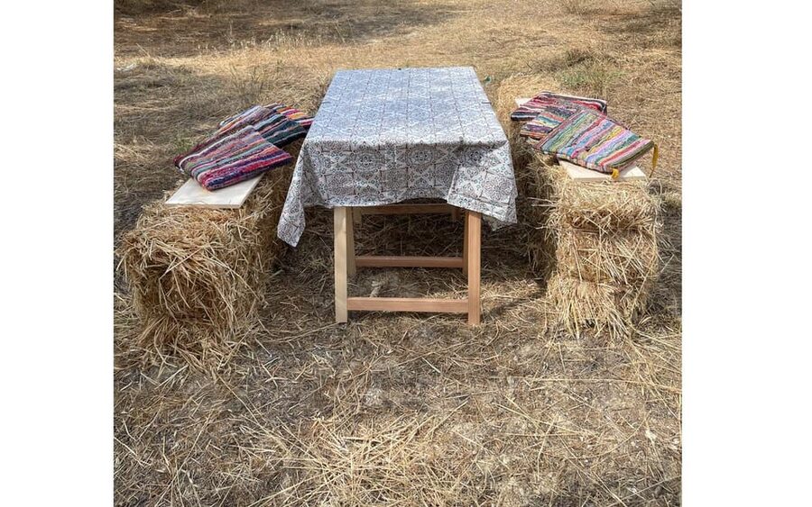 Heraklion :Olive & Dragon Farm Tour & Cretan Farmers Brunch - A working olive grove near Heraklion