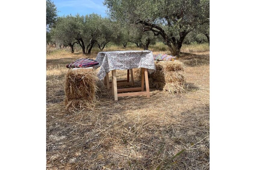 Heraklion :Olive & Dragon Farm Tour & Cretan Farmers Brunch - What you learn about olive farming