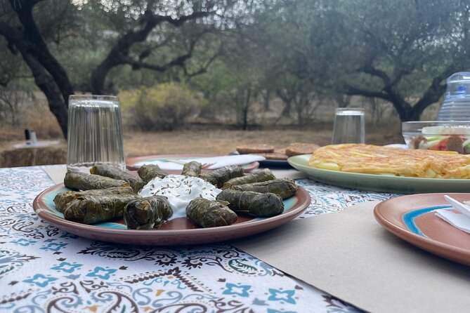 Heraklion:Olive & Dragon Fruit Farm Tour & Cretan Farmers Brunch - Seeing dragon fruit grown in Crete