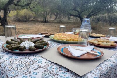 Olive & Dragon Fruit Farm Tour & Cretan Farmers Brunch
