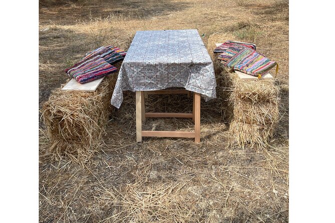 Heraklion:Olive & Dragon Fruit Farm Tour & Cretan Farmers Brunch - Why the private format changes the visit