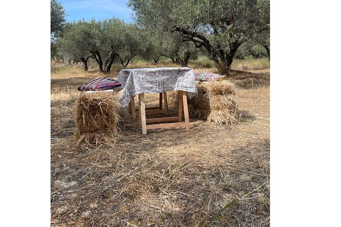 Heraklion:Olive & Dragon Fruit Farm Tour & Cretan Farmers Brunch - Who will enjoy this most?