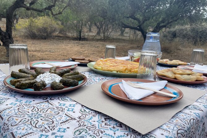 Heraklion:Olive & Dragon Fruit Farm Tour & Cretan Farmers Brunch - Walking through the olive grove