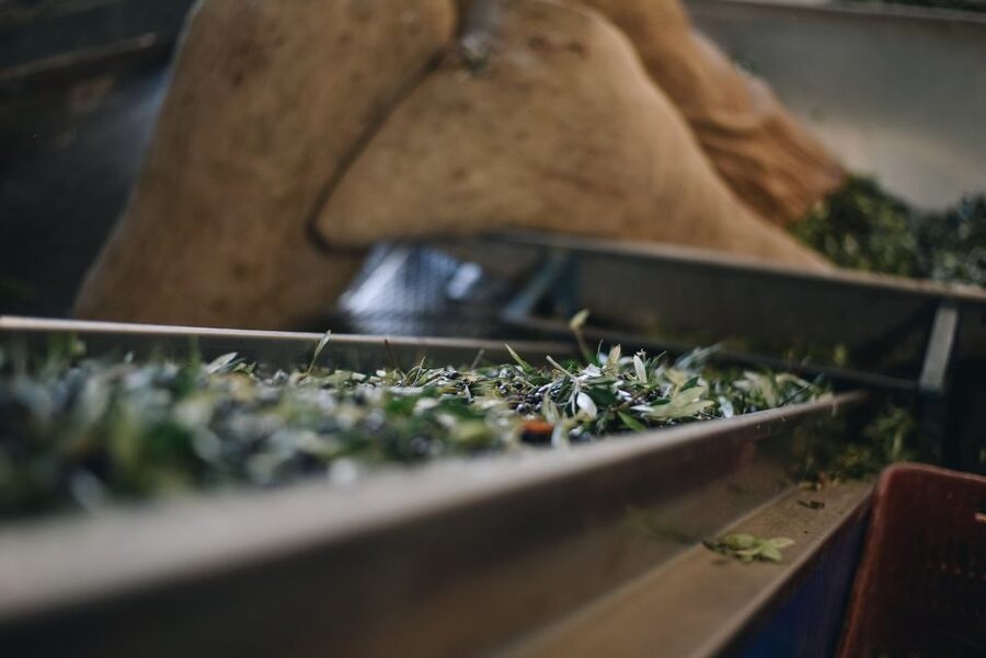 Heraklion: Olive Farm Tour with Tasting of Local Delicacies - Why Kleanthi works as a Crete food experience