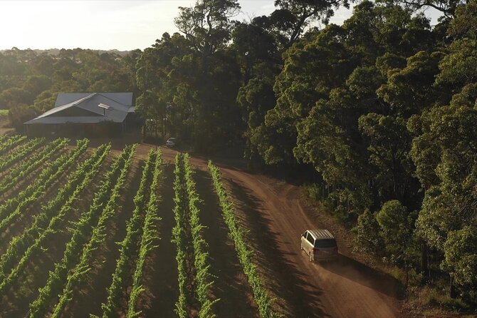 Hidden Gems: Boutique Full-Day Wine, Farm & Lunch Tour - 9:00 am pickup and a farm breakfast with alpacas