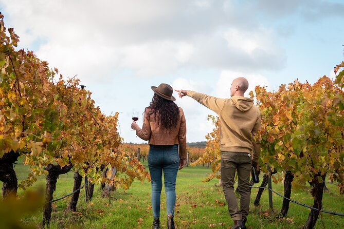Hidden Gems: Boutique Full-Day Wine, Farm & Lunch Tour - Ashbrook Estate begins the boutique wine part of the day