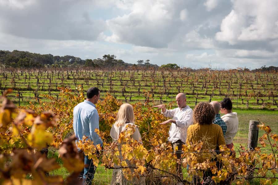 Hidden Gems Margaret River: Authentic Wine & Farm Experience - Why this seven-hour Margaret River tour feels different