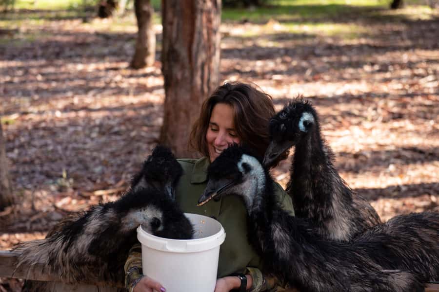 Hidden Gems Margaret River: Authentic Wine & Farm Experience - How the value works at $145