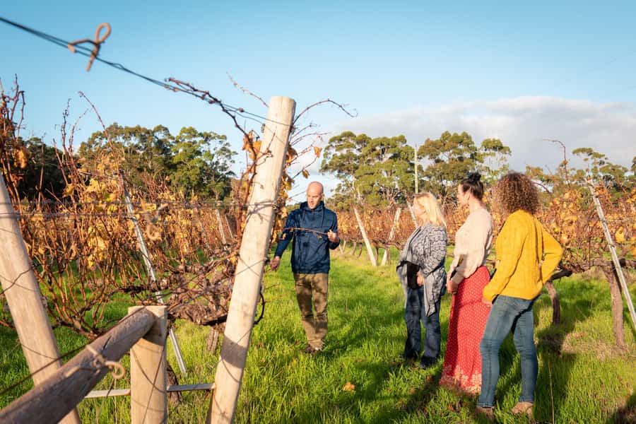 Hidden Gems Margaret River: Authentic Wine & Farm Experience - Timing, group size, and what to bring