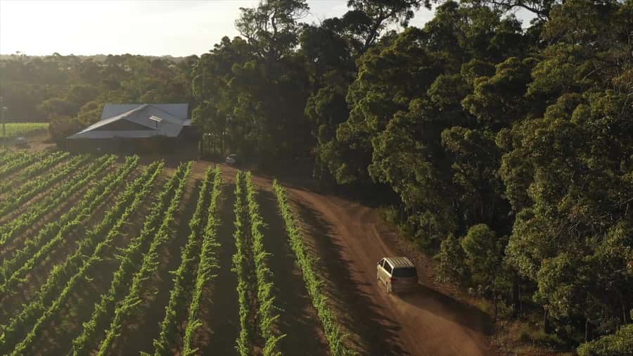 Hidden Gems Margaret River: Authentic Wine & Farm Experience - Who should book this experience