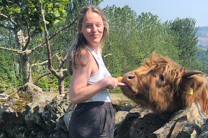 Highland Cows, Walk Alpacas & Scottish Wildlife Centre from Edin. - Two hours among deer, wolves, and birds of prey