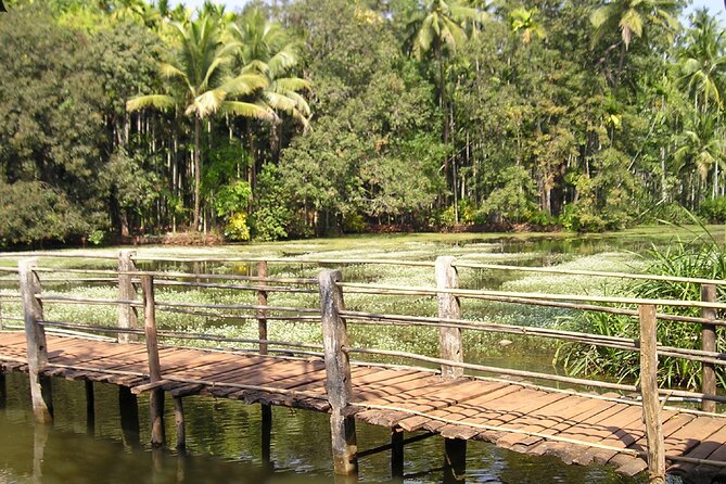 Highlights of South Goa with Spice Plantation Tour (Guided Fullday Tour by Car) - Key points to know before booking