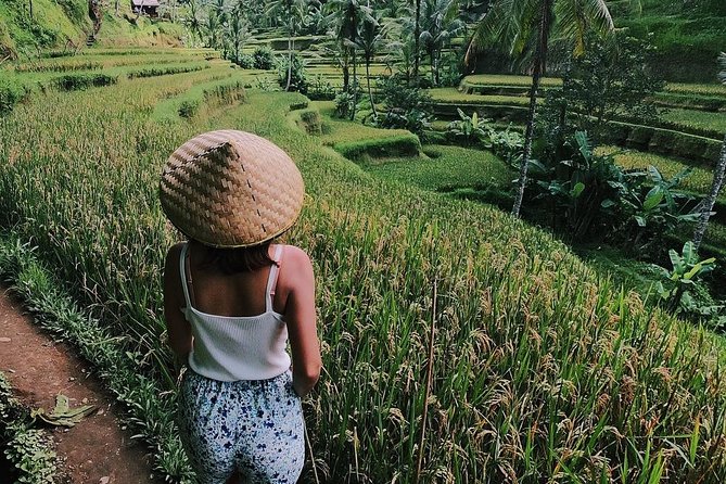 Highlights of Ubud: Nature, Rice Terrace, Waterfall, Temple and more - Key points to know before booking