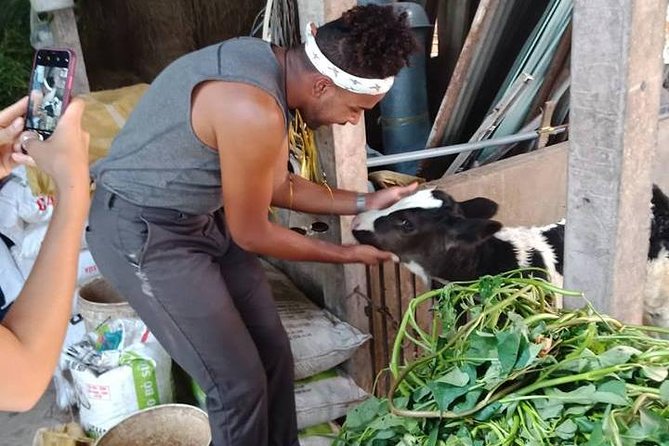 Ho Chi Minh City Full-Day Farm trip with Healthy Cooking Class - Preparing Prawn Wraps, Papaya Salad, and Banana Spring Rolls
