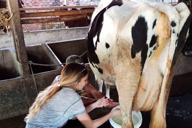Ho Chi Minh City Full-Day Farm trip with Healthy Cooking Class - What Makes the Small Group Important