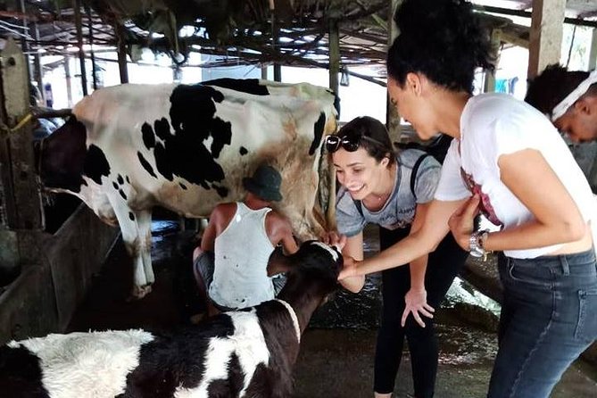 Ho Chi Minh City Full-Day Farm trip with Healthy Cooking Class - A Short Look at Rice Paper Production