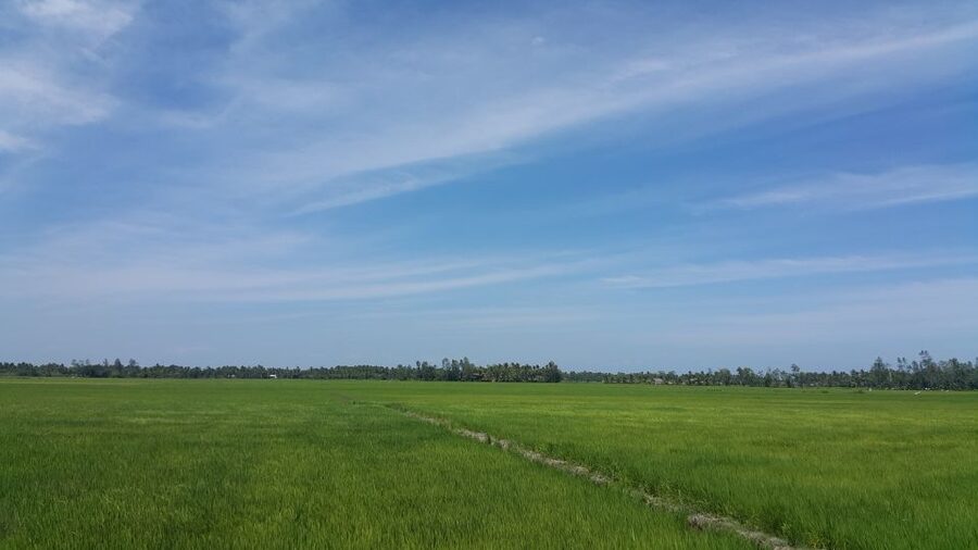 Ho Coc Beach, Nature Reserve & Dragon Fruit Farm Day Tour - A short forest walk in Phuoc Buu Nature Reserve