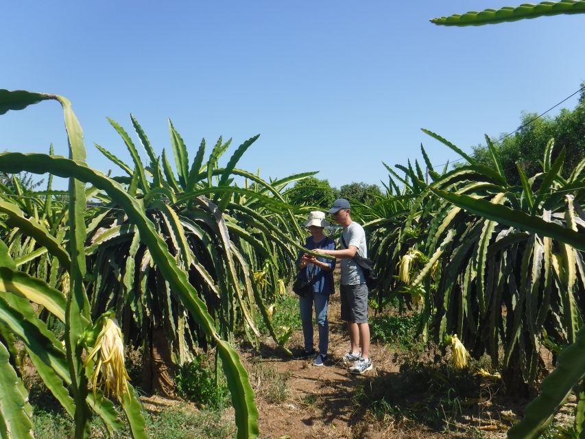 Ho Coc Beach, Nature Reserve & Dragon Fruit Farm Day Tour - Ho Coc Beach and the private resort access
