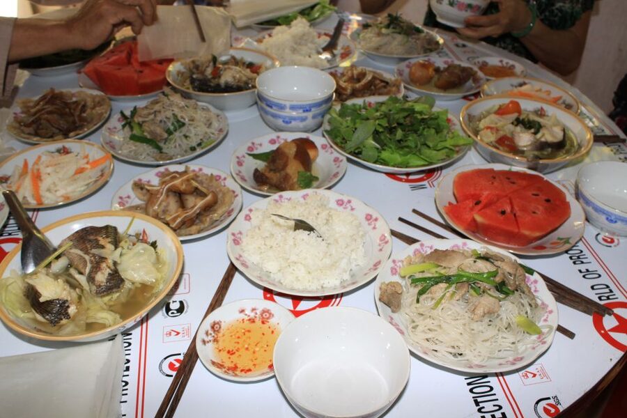 Ho Coc Beach, Nature Reserve & Dragon Fruit Farm Day Tour - Who will enjoy this tour most