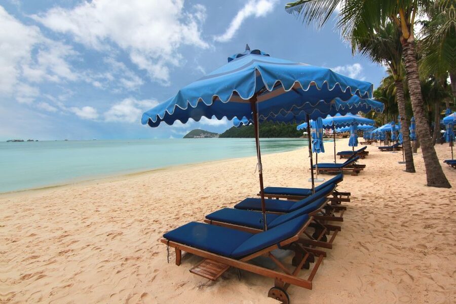 Ho Coc Beach, Nature Reserve & Dragon Fruit Farm Day Tour - Practical details that make the day easier