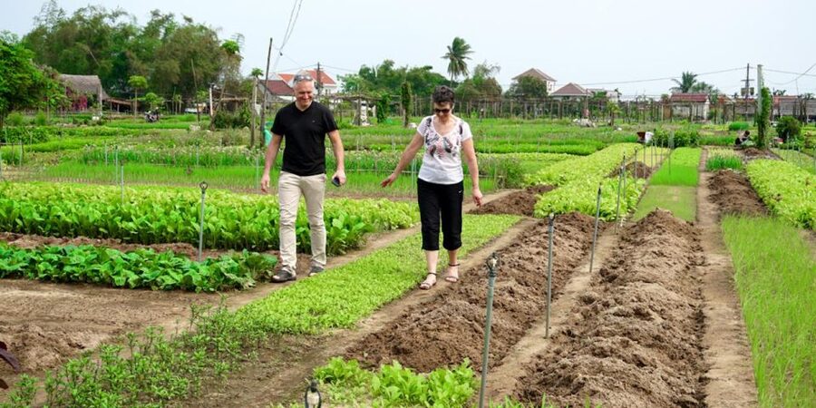 Hoi An Countryside Bicycle Tour - Farming - Cooking Class - Who Will Enjoy This Hoi An Day Out