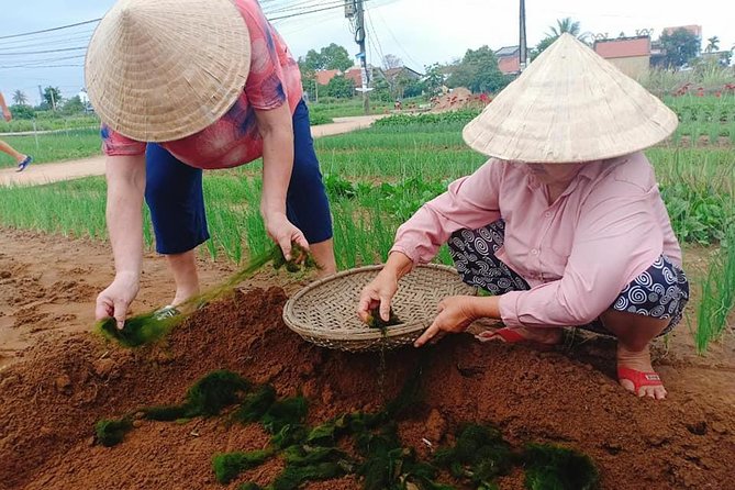 Hoi An Countryside Tour with Bamboo Basket Boat Rowing , Buffalo Ride, Farming - Thanh Ha Pottery Village: finish with clay