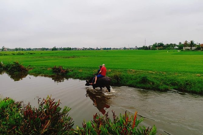 Hoi An Countryside Tour with Bamboo Basket Boat Rowing , Buffalo Ride, Farming - Timing, comfort, and who should book