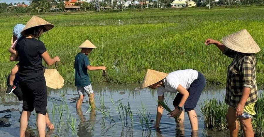 Hoi An:Cycling,Traditional Farming & Fishing Life Experience - Cam Thanh by Bicycle: A Short Ride into Working Village Life