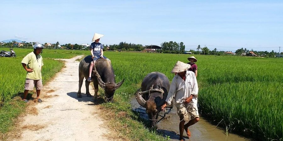 Hoi An : Eco Farming Bicycle Tour and Basket Boat Ride - Entering Cam Thanh by bamboo basket boat