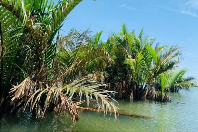 Hoi An Farming And Fishing Life - Cycling to Tra Que Vegetable Village