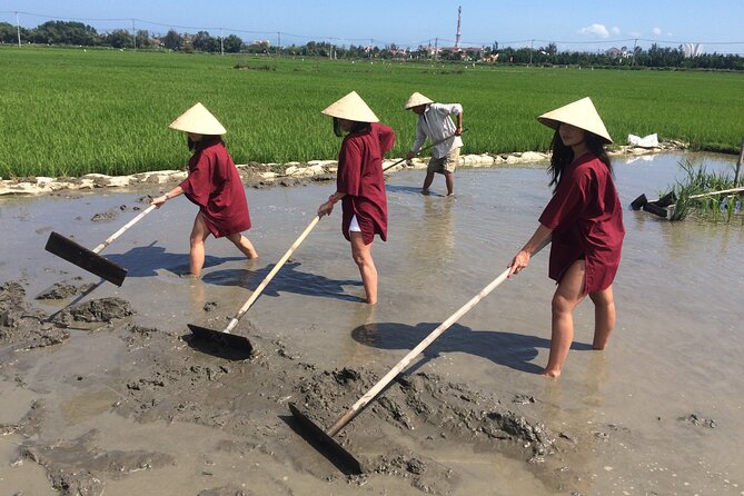 Hoi An Rice Farm Tour and Buffalo Riding with Local Home Meal - Key points to know before booking