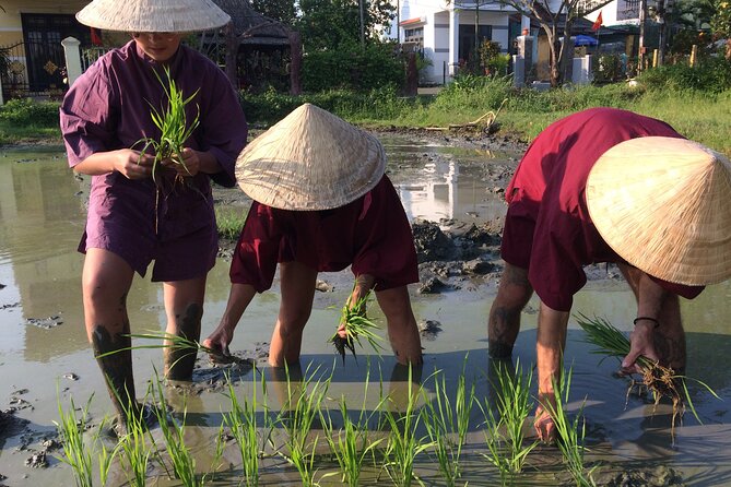 Hoi An Rice Farm Tour and Buffalo Riding with Local Home Meal - What the guide adds to the morning