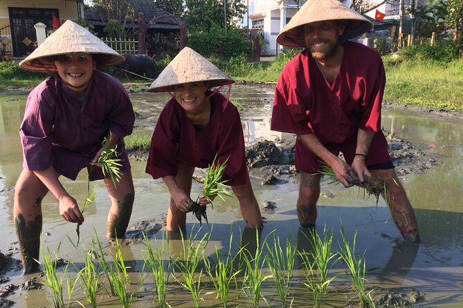 Hoi An Rice Farm Tour and Buffalo Riding with Local Home Meal - Is $60 a fair price for this Hoi An tour?