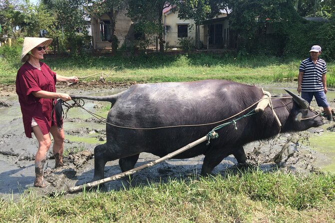 Hoi An Rice Farm Tour and Buffalo Riding with Local Home Meal - Practical details for a smooth morning