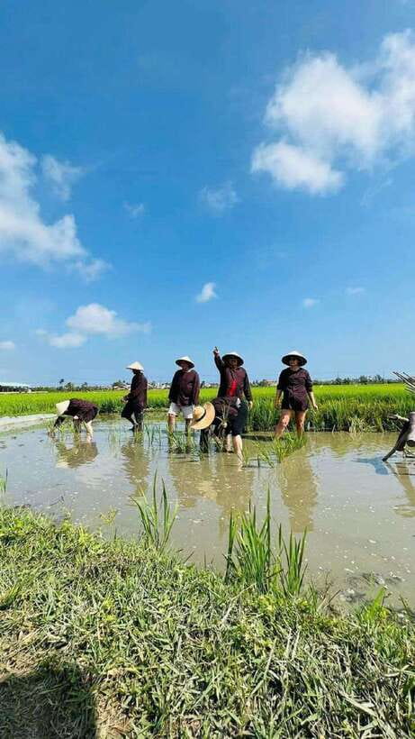 Hoi An Wet Rice Farming Tour-Basket Boat Tour Fishing-Lunch - Rice fields first, with mud under your boots