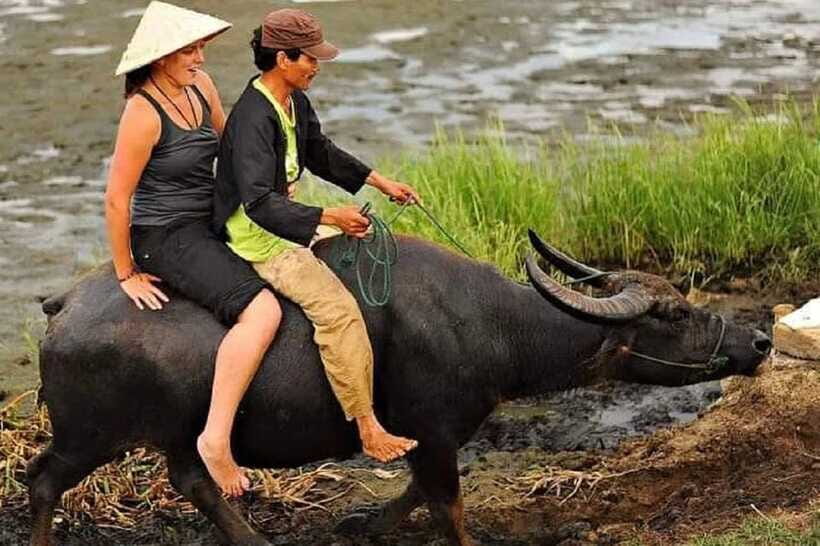 Hoi An Wet Rice Farming Tour-Basket Boat Tour Fishing-Lunch - What the feedback tells me about value